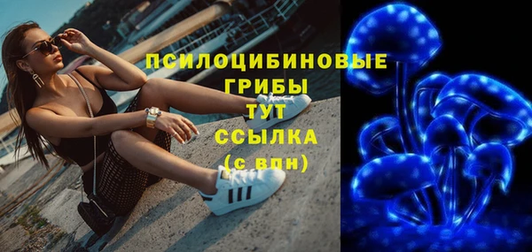 СК Алексин