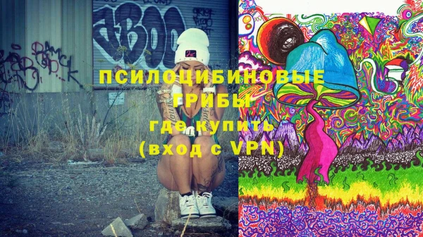 сатива Абинск