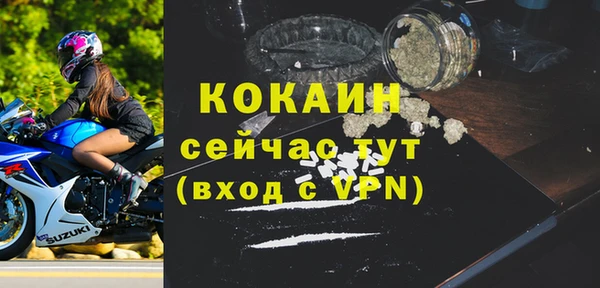 сатива Абинск