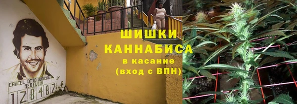 СК Алзамай