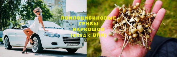 сатива Абинск
