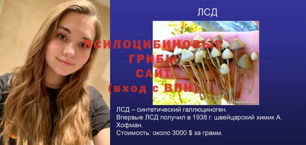 гашик Абдулино