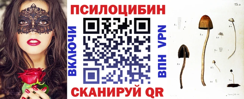 mega сайт  купить наркотики цена  Горячеводский  нарко площадка как зайти  Псилоцибиновые грибы Magic Shrooms 